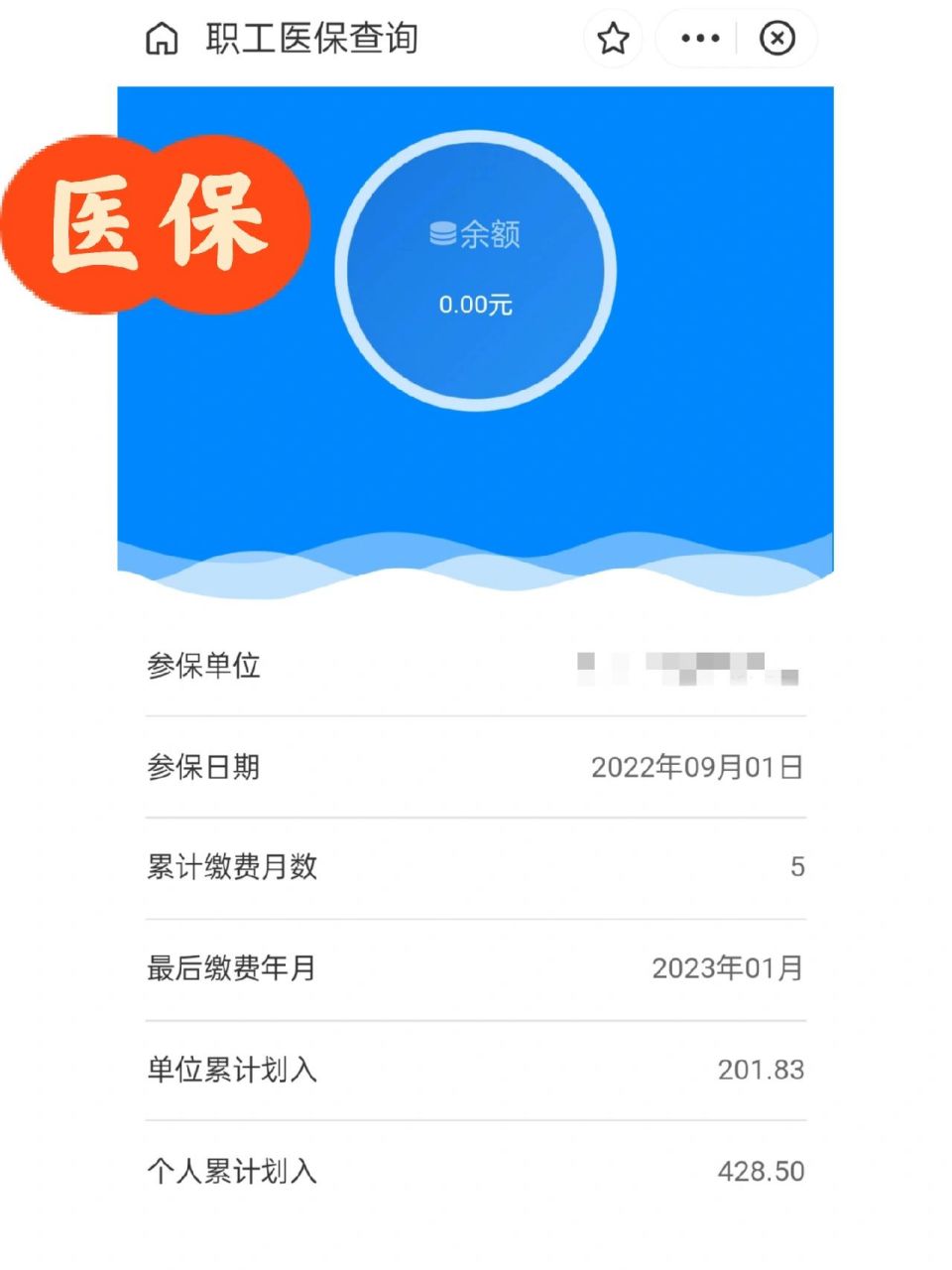 海宁最新为什么缴纳了医保查不到余额方法分析(最方便真实的海宁为什么交了医保后查询不到医保缴费信息方法)